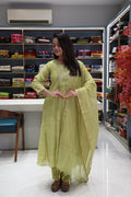 Pure Muslin Silk A-Line Dress